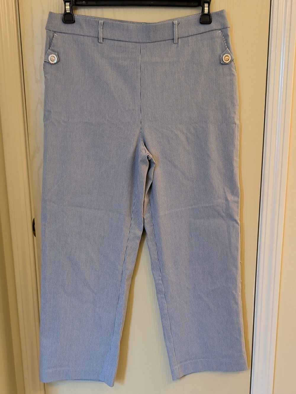 Jules & Leopold Light Blue Pinstripe Capri Pants Women’s Size L Pull On Stretch
